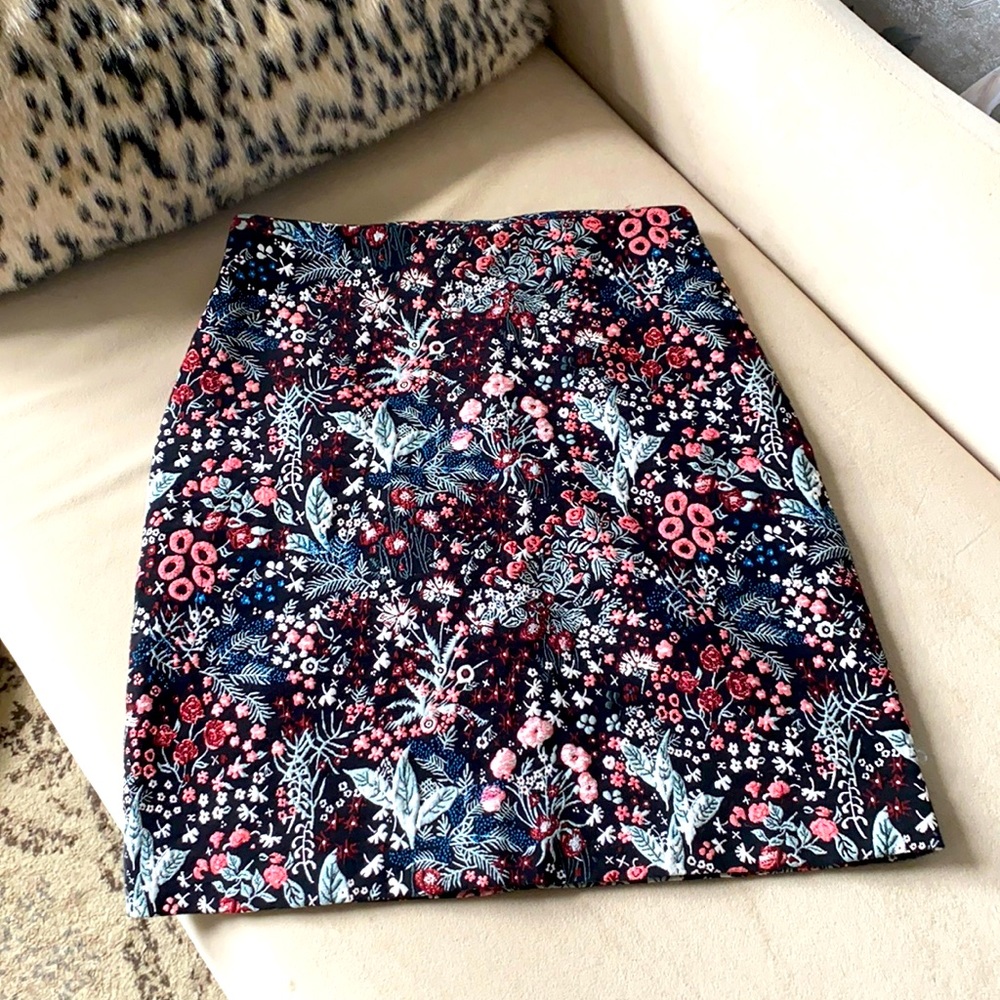 Beautiful Embroidered H&M skirt